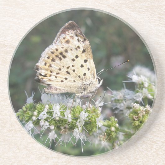 Atembermende Creme- und Schokoladen-Schmetterling Sandstein Untersetzer (Vorne)