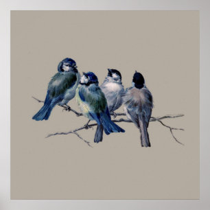 Atembermende Vintage-Kunst Blaue Vögel auf Zweig x Poster