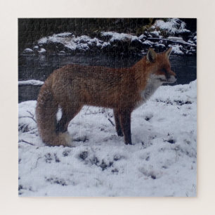 Atembernder Rotfuchs im Schnee Natürliche Winter-W Puzzle