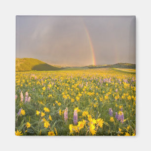 Atemberndes Wildblumenwiese bei Sonnenaufgang in 2 Magnet