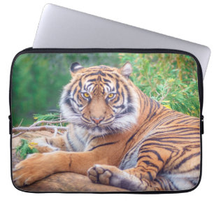 Atembernendes Foto eines liegenden Tigers Laptopschutzhülle