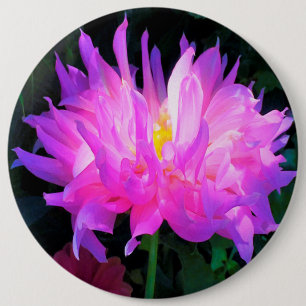 Atemberstende rosa und violette Kaktus-Dahlie Button