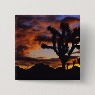 Atemosphärischer Sonnenaufgang im Joshua Tree Nati Button