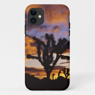 Atemosphärischer Sonnenaufgang im Joshua Tree Nati Case-Mate iPhone Hülle