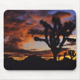 Atemosphärischer Sonnenaufgang im Joshua Tree Nati Mousepad