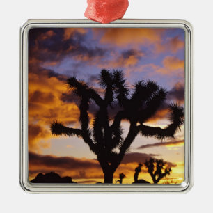 Atemosphärischer Sonnenaufgang im Joshua Tree Nati Silbernes Ornament