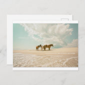 Atemträume wie eine Postkarte (Vorne/Hinten)