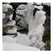 Athabasca Falls gefroren Poster (Vorderseite)