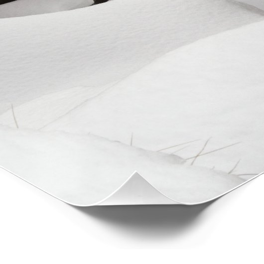 Athabasca Falls gefroren Poster (Ecke)