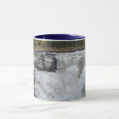 Athabasca Falls, kanadische Schönheit, Wasserfall Tasse (Zentrum)