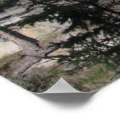 Athabasca Falls Poster (Ecke)