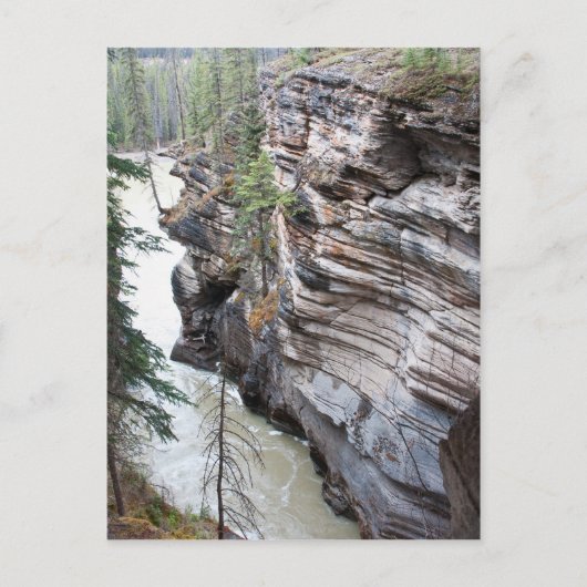 Athabasca Falls Postkarte (Vorderseite)