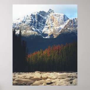 Athabasca Herbst Poster