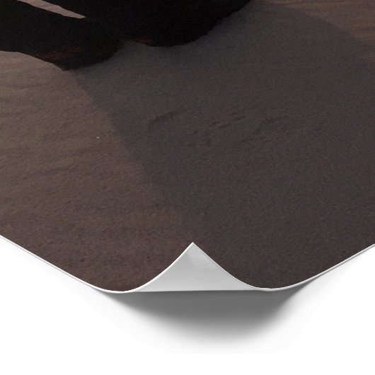 Athabasca Sand Dunes Poster (Ecke)
