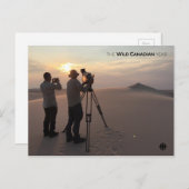 Athabasca Sand Dunes Postkarte (Vorne/Hinten)