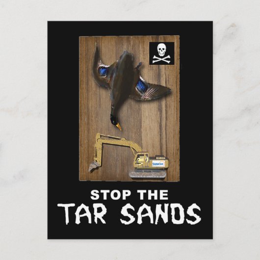 Athabasca Tar Sands Duck Mount Postkarte (Vorderseite)