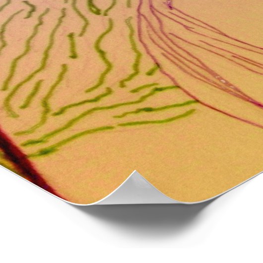 Athena Poster (Ecke)