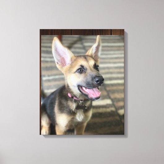 Athena Welpe Leinwand drucken (Vorderseite)