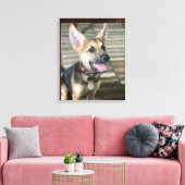 Athena Welpe Leinwand drucken (Insitu (Wohnzimmer))