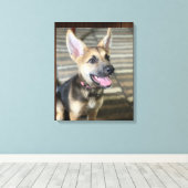 Athena Welpe Leinwand drucken (Insitu (Holzboden))