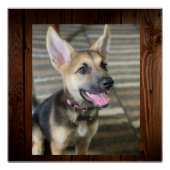 Athena Welppy Poster (Vorderseite)