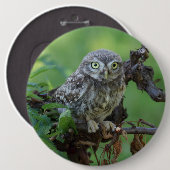 Athene noctua button (Vorne & Hinten)