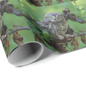 Athene noctua geschenkpapier (Rolleneckpunkt)