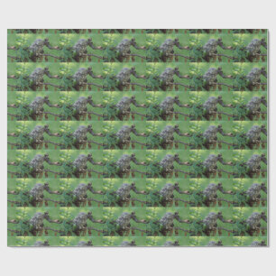 Athene noctua geschenkpapier