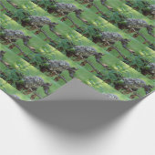 Athene noctua geschenkpapier (Ecke)