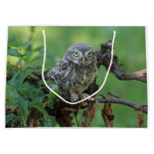 Athene noctua große geschenktüte (Vorderseite)