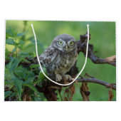 Athene noctua große geschenktüte (Rückseite)