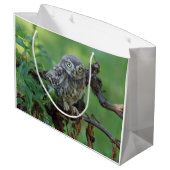 Athene noctua große geschenktüte (Rückseite Schrägansicht)