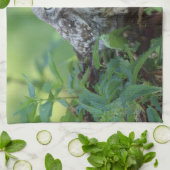 Athene noctua handtuch (Gefaltet)