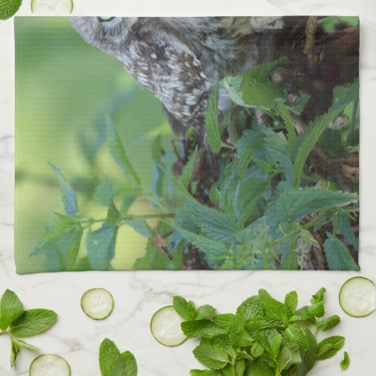 Athene noctua handtuch (Gefaltet)