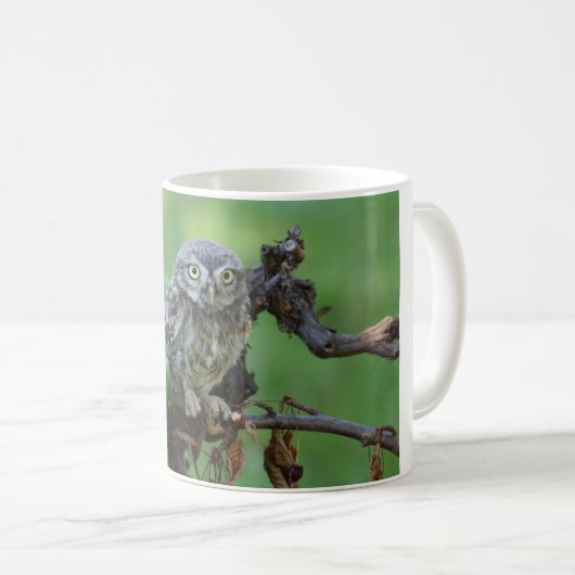 Athene noctua kaffeetasse (VorderseiteRechts)