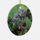 Athene noctua keramikornament (Rechts)