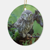 Athene noctua keramikornament (Links)