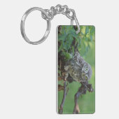 Athene noctua schlüsselanhänger (Vorderseite links)