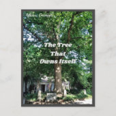 Athens Georgia USA Postcard GA Postkarte (Vorderseite)