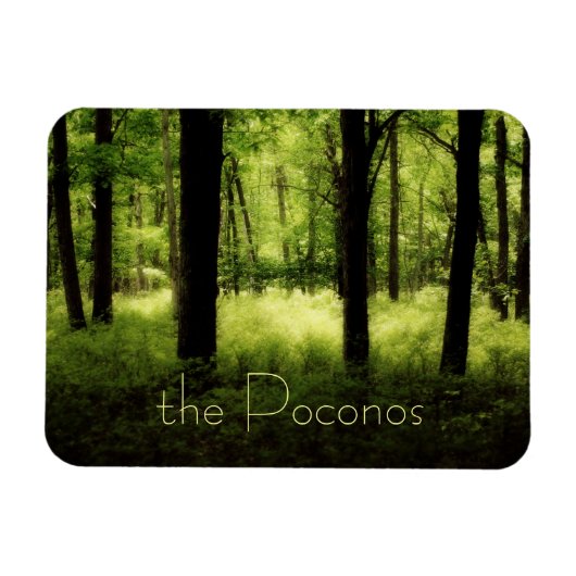 Äthereal Summer Woods Magnet (Horizontal)