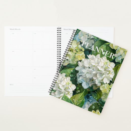 Ätherische Blüten: Ihr Planer für Hydrangea (Anzeige)