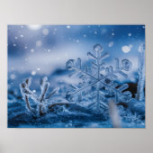 Ätherische Eiskristalle, die auf Frost fallen Poster (Vorne)