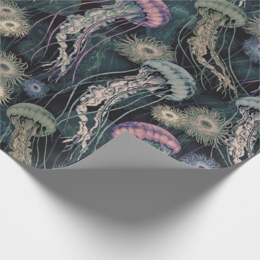 Ätherische Quallen und Anemone in Aquamarin und ro Geschenkpapier (Ecke)