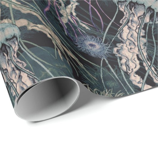 Ätherische Quallen und Anemone in Aquamarin und ro Geschenkpapier (Rolleneckpunkt)