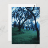 Ätherische Stunde Postkarte (Vorne/Hinten)