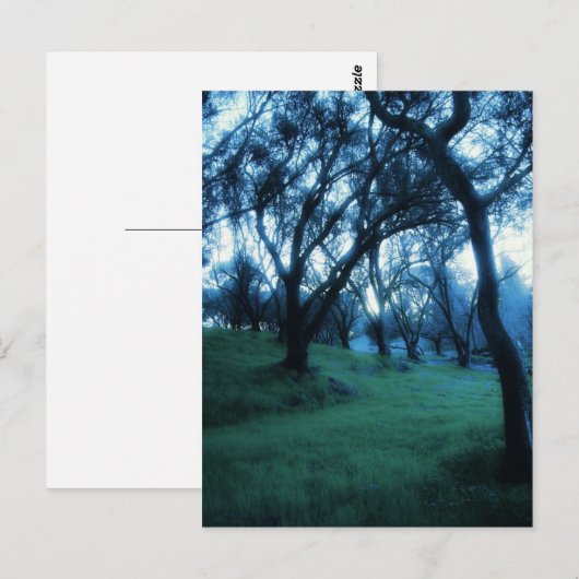 Ätherische Stunde Postkarte (Vorne/Hinten)