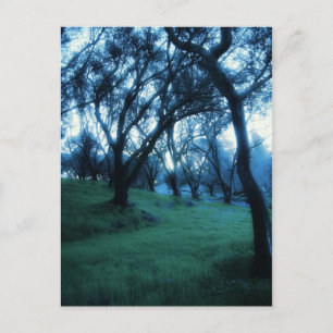 Ätherische Stunde Postkarte
