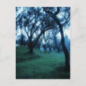 Ätherische Stunde Postkarte (Vorderseite)