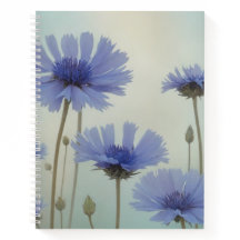 Ätherische Wildblumen