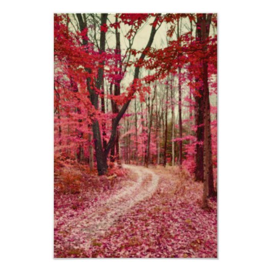 Ätherischer Waldweg mit roten Herbstfarben Fotodruck (Vorne)